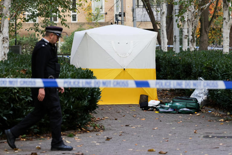 Young woman fighting for life after horror stabbing in Islington park